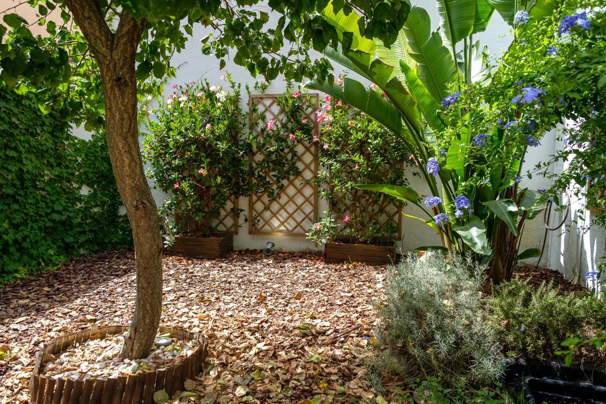 Pretty House Sa Font In Santa Catalina Palma City Exterior photo